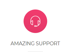 amazing_support